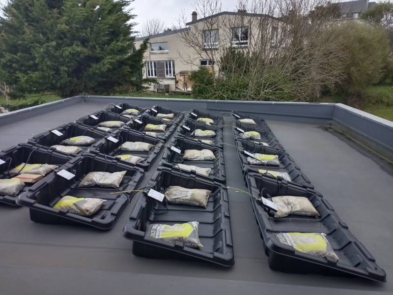 Nouvelle installation de panneaux photovoltaïques Thomson à Cherbourg-en-Cotentin