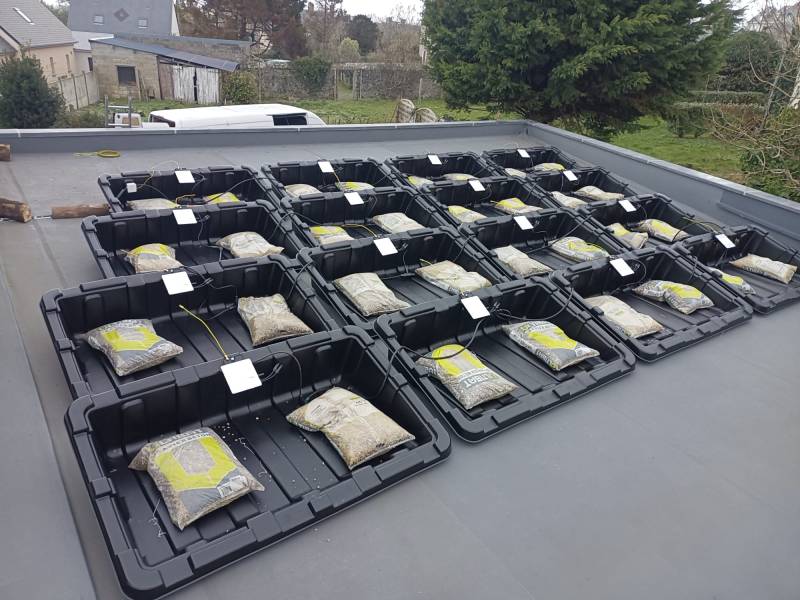 Nouvelle installation de panneaux photovoltaïques Thomson à Cherbourg-en-Cotentin