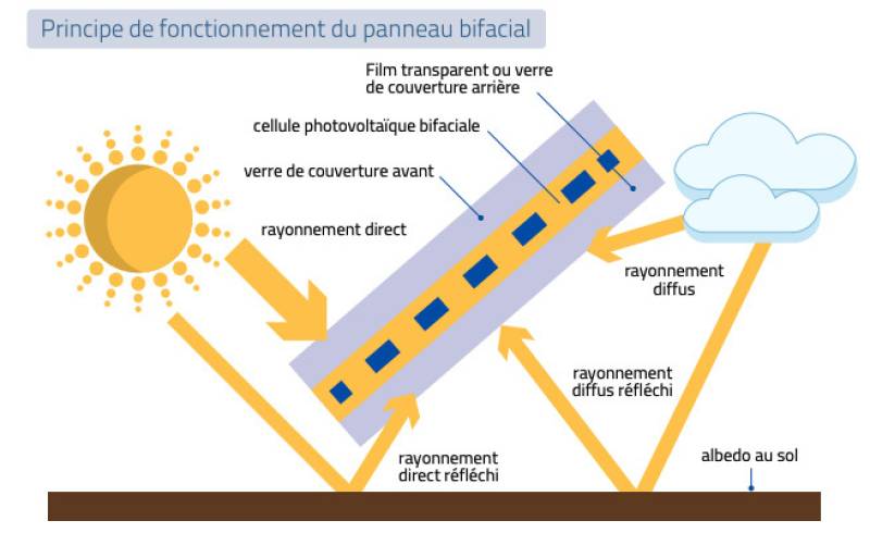 Découvrez l'Énergie Solaire 2-en-1 : Les Panneaux Bifaciaux